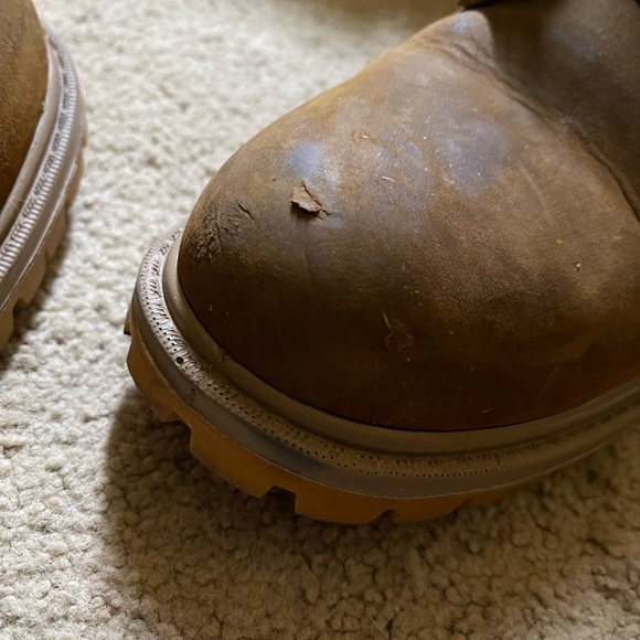 Irish setter 7.5 - Picture 5 of 9